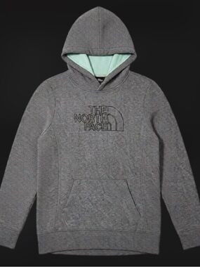 The North Face Grey Hoodie with Mint Hood Lining